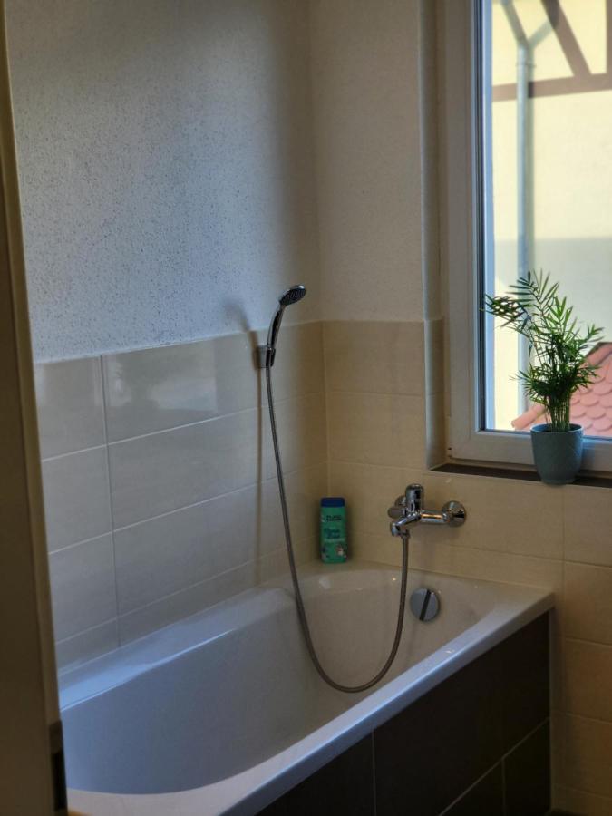 Modernes Behagliches Haus Mit Kamin, Terrasse Und Garten Magdeburg Eksteriør billede